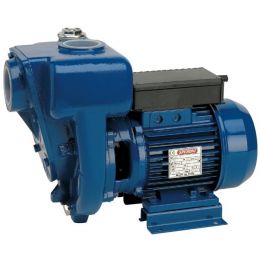 Центробежный насос Speroni HGMG 50-1,5