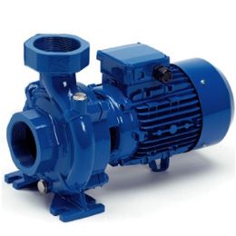 Центробежный насос Speroni CBM 454/A